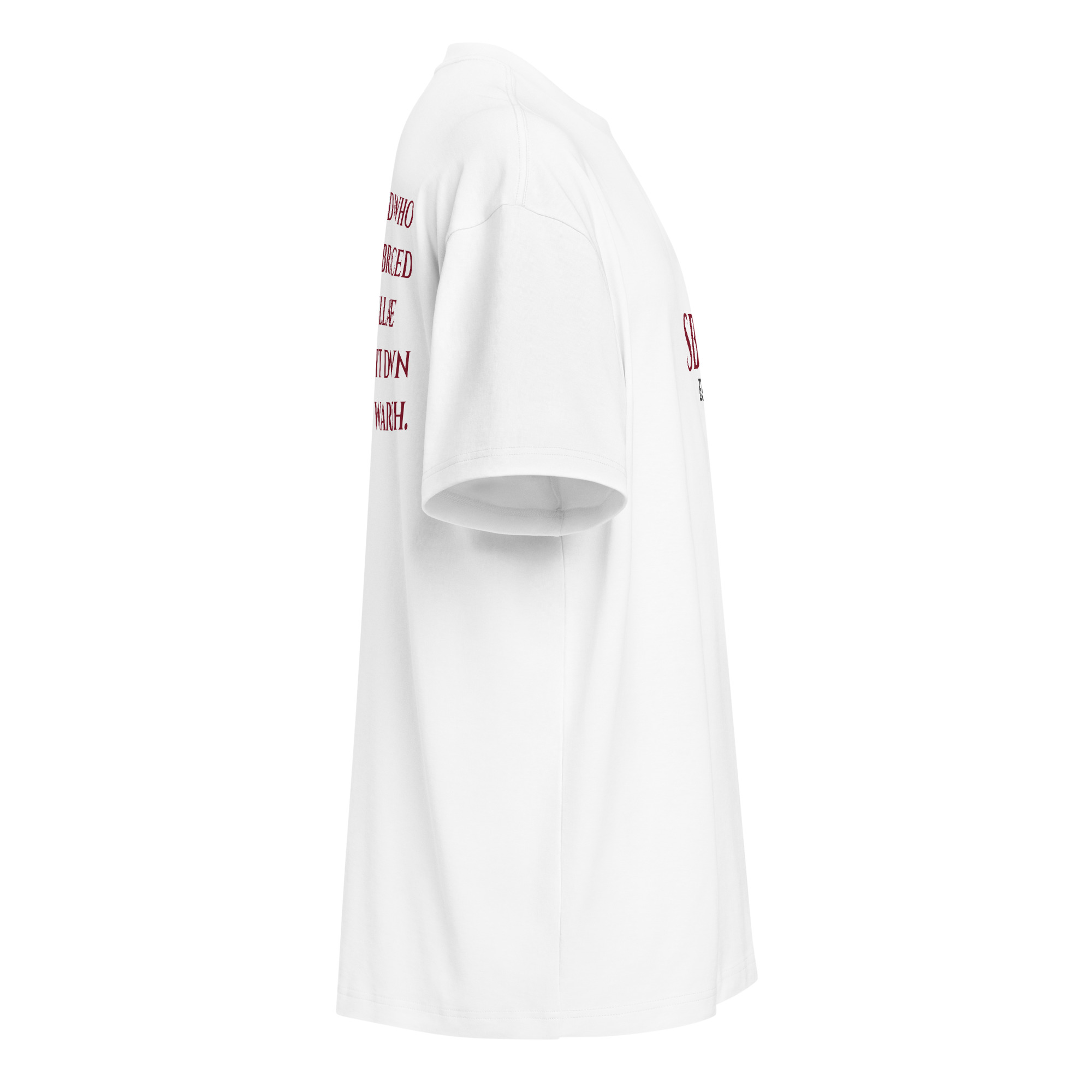 mens-box-tee-white-right-6a4cc949dec45.jpg